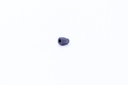 Ferrule Polyimid