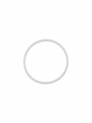 [IR58] PTFE Dichtungsring